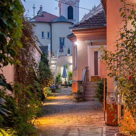 Apartman Centar Karlofça Dış mekan fotoğraf