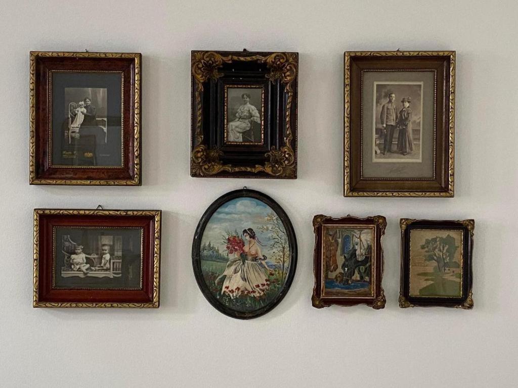 Apartman Centar Karlofça Dış mekan fotoğraf