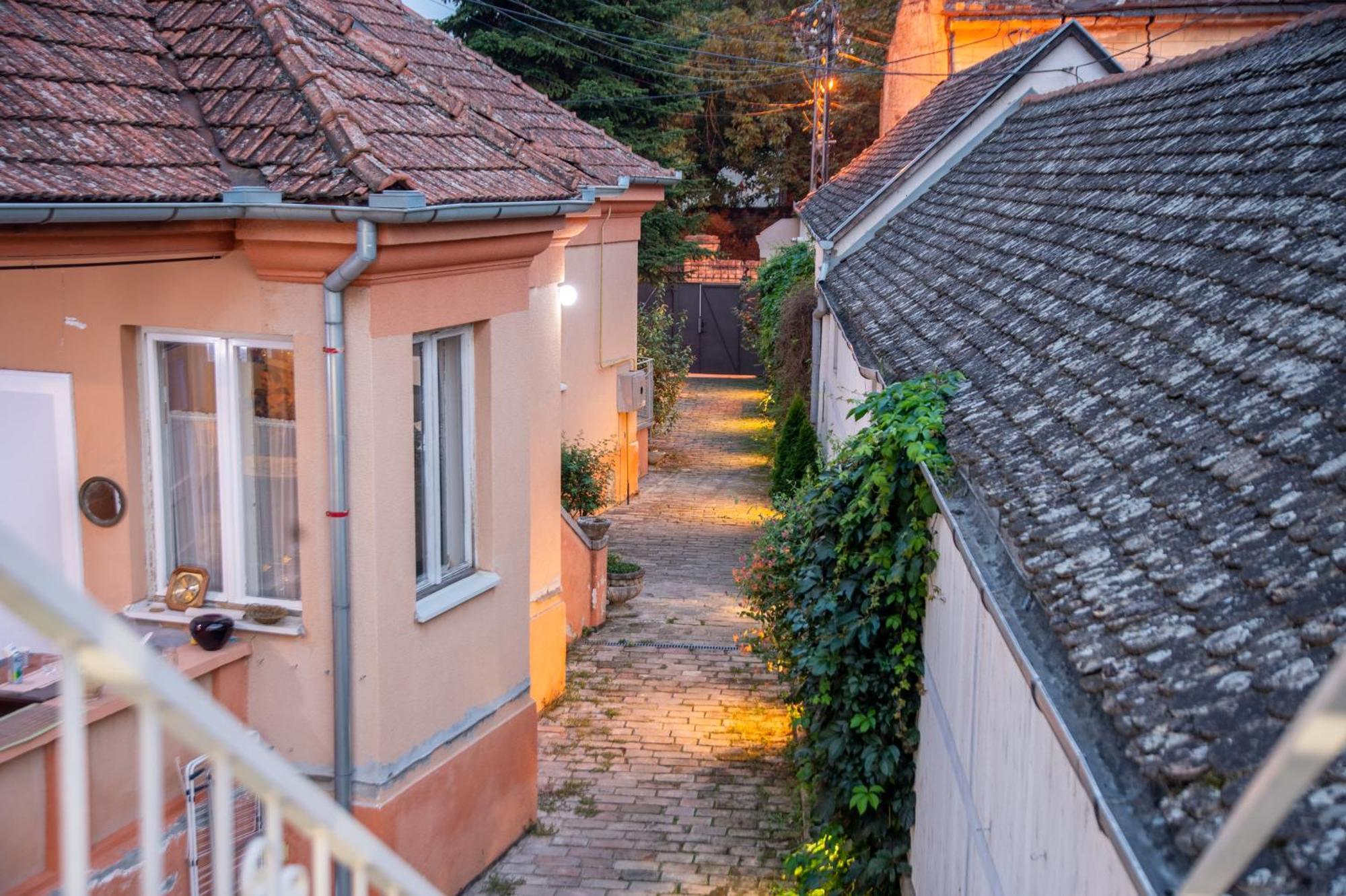 Apartman Centar Karlofça Dış mekan fotoğraf